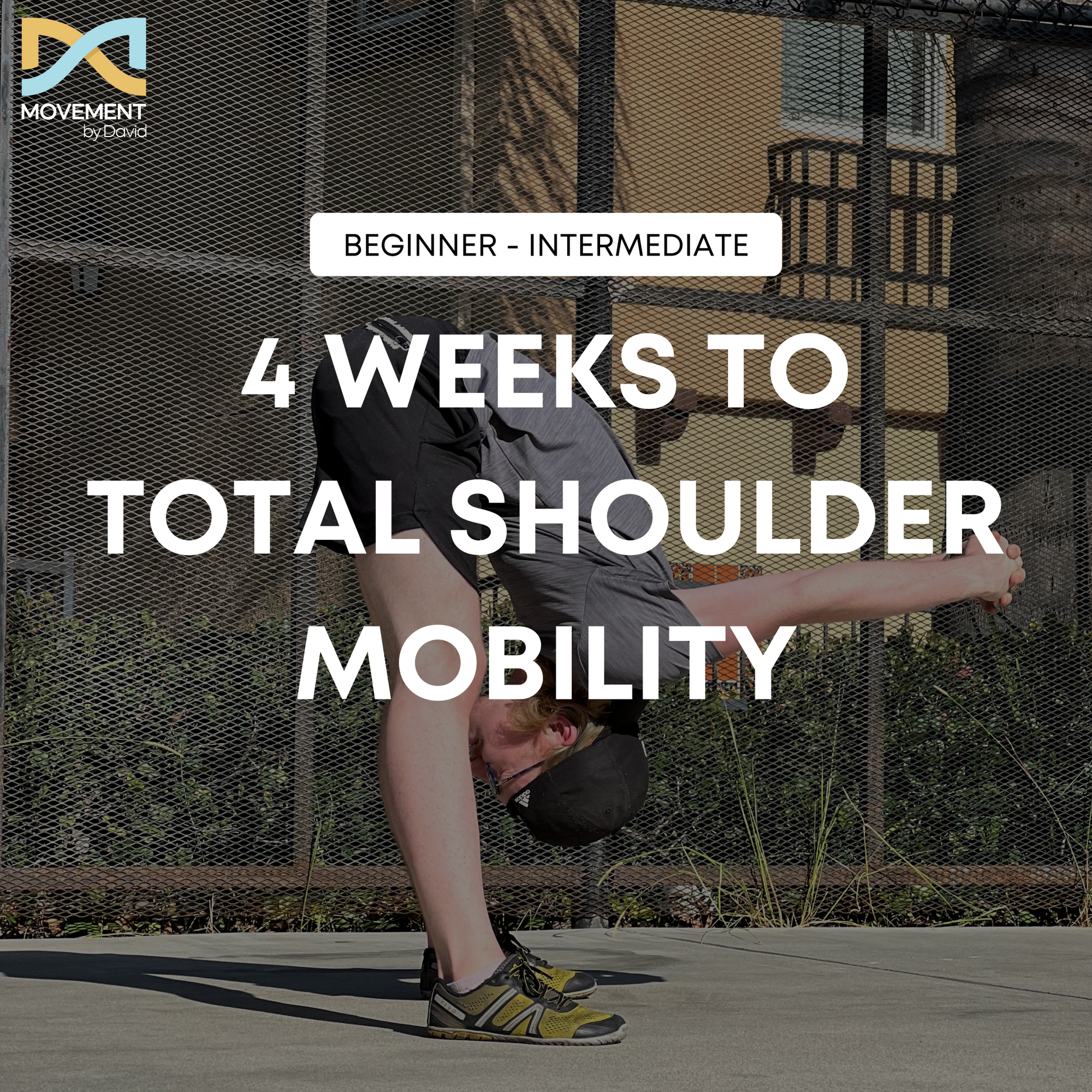 MBD Total Shoulder Mobility